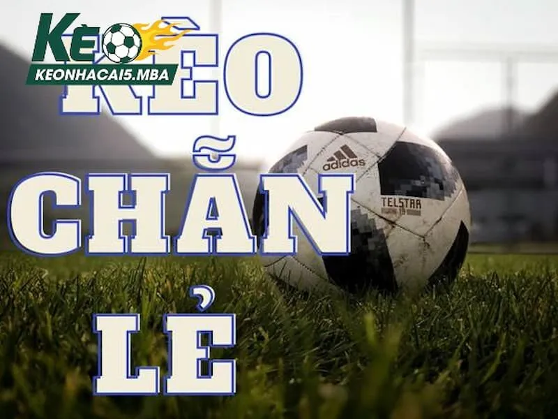 Hướng dẫn cách chơi kèo chẵn lẻ cùng Keonhacai 5